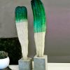 Green Turquoise cactus | Limited time offer