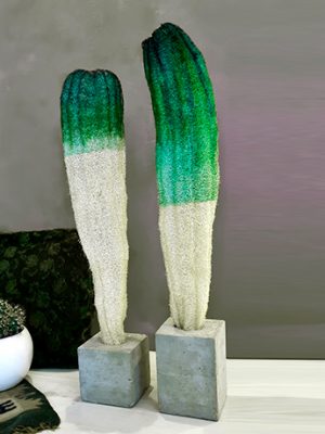 Green Turquoise cactus | Limited time offer